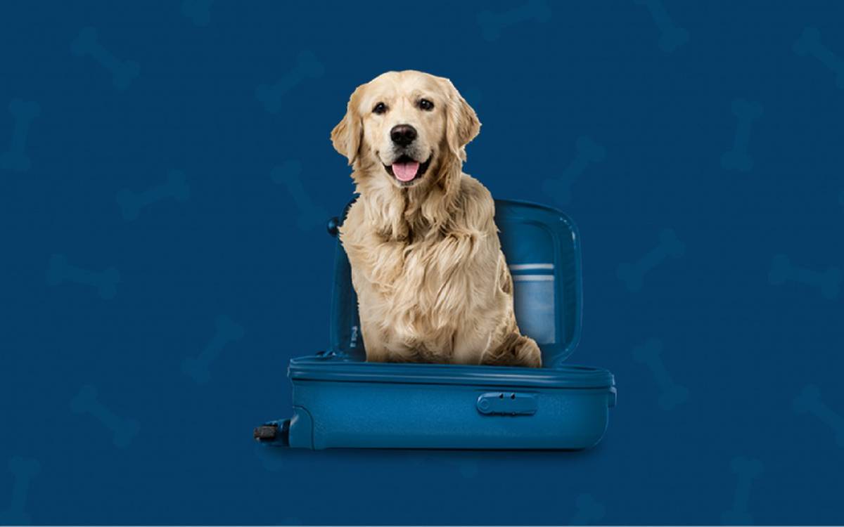 Somos pet friendly Hotel ILUNION Almirante Barcelona Somos pet friendly Hotel ILUNION Almirante Barcelona
